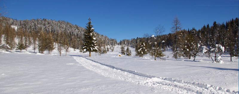 Paesaggi invernali.